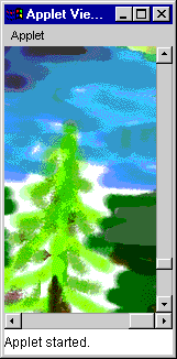 pic1.gif (14496 bytes)