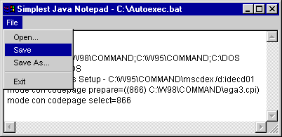 pic1.gif (5176 bytes)